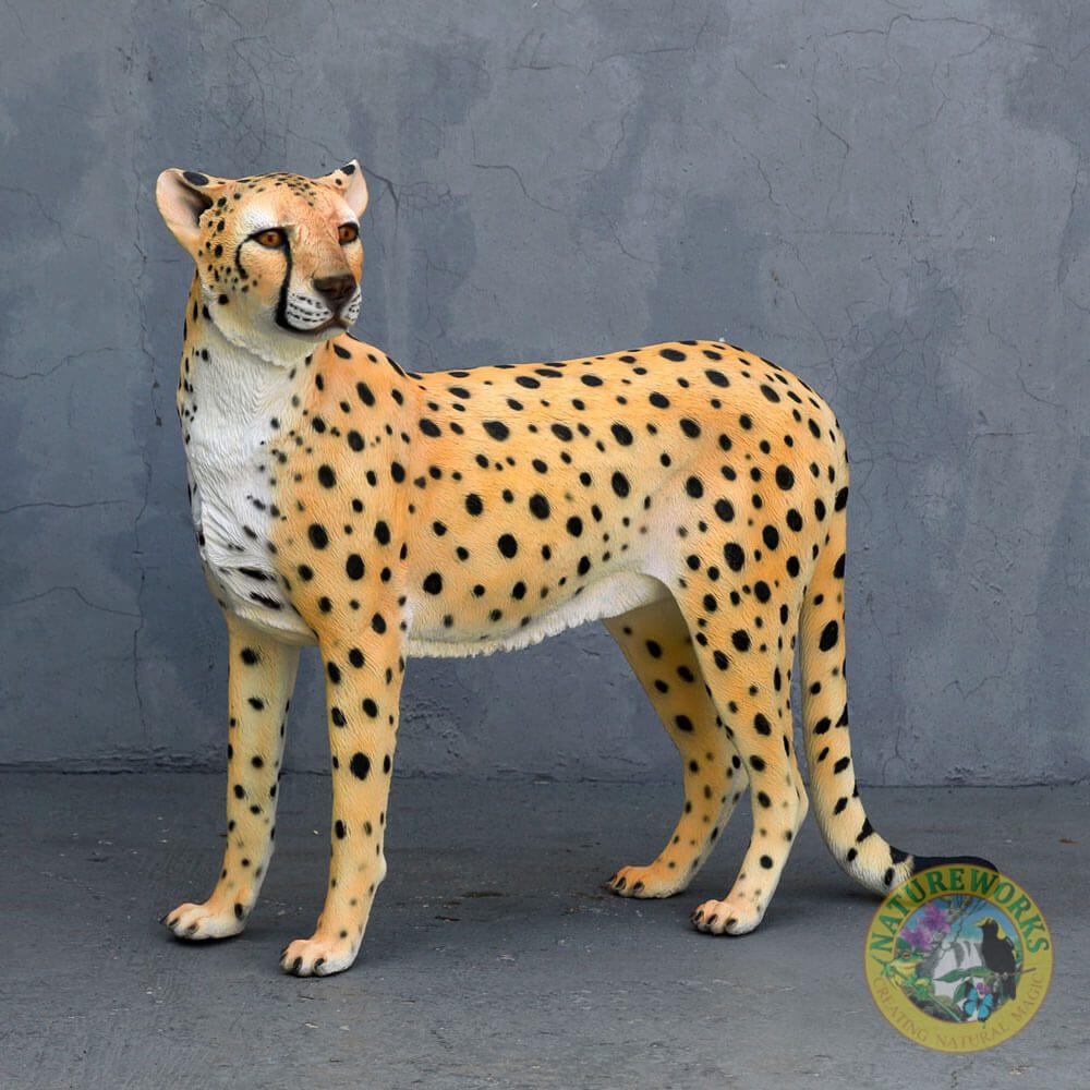 Cheetah -Standing