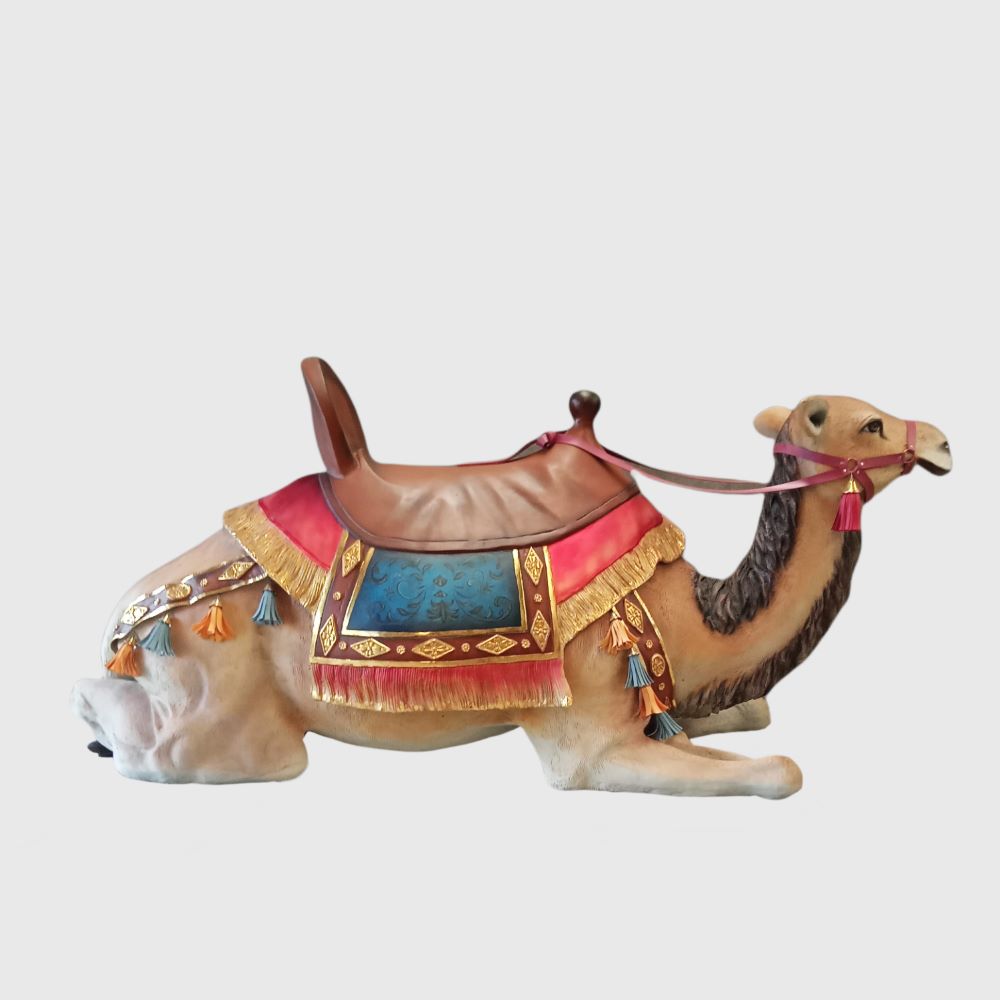 Camel Lying With Saddle