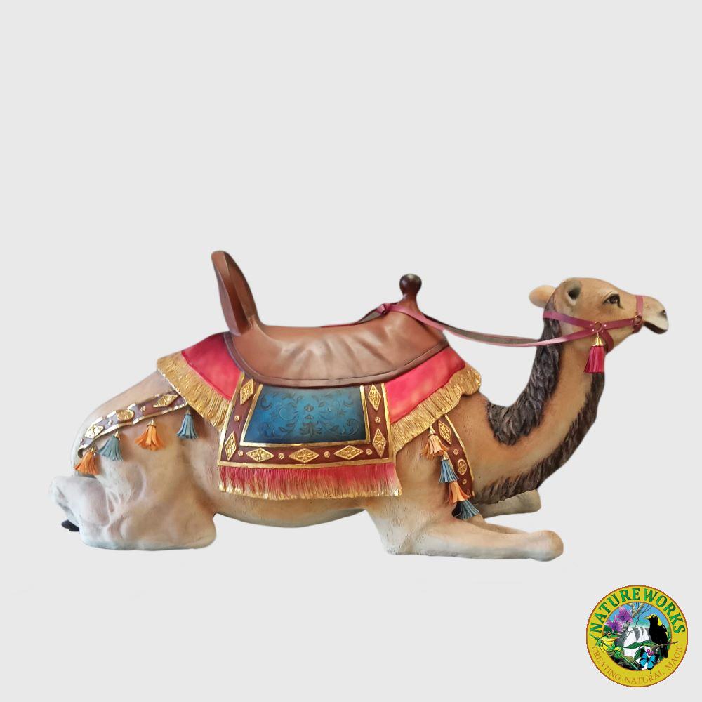 Camel Lying With Saddle