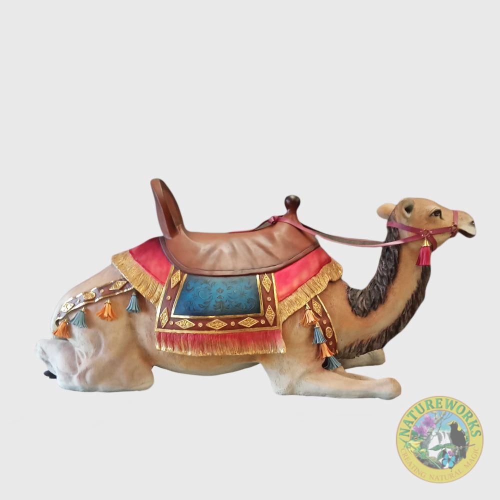 Camel Lying With Saddle
