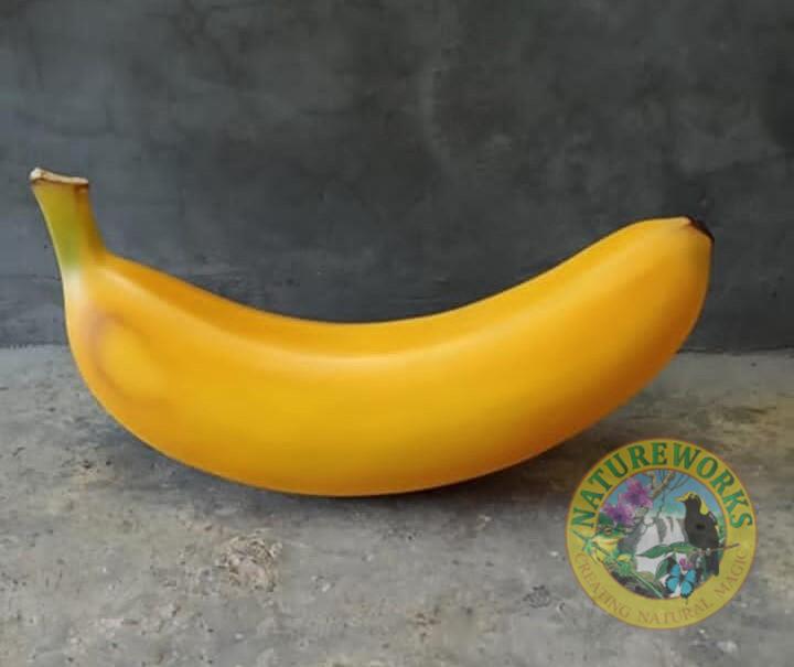 Natureworks Australia Banana Laying