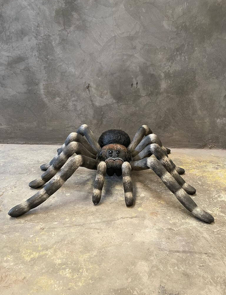 Tarantula Spider