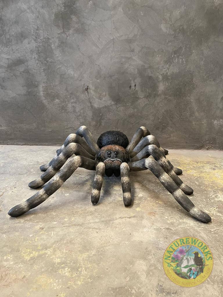 Natureworks Australia Tarantula Spider