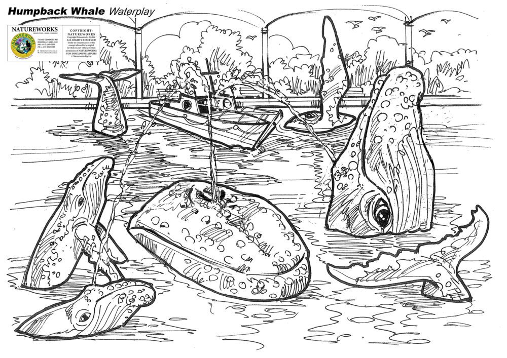 Natureworks Australia Whale of A Time Splash Play Concept - Image 4
