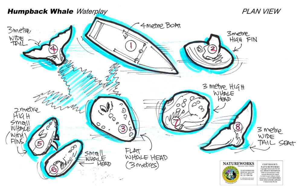 Natureworks Australia Whale of A Time Splash Play Concept - Image 3