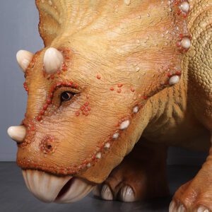 Natureworks Australia Triceratops Baby Dinosaur - Standing pose - 230138 - L 371 x W 137 x H 183cm - 196kg - close up of head view