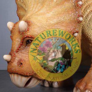 Natureworks Australia Triceratops Baby Dinosaur - Standing pose - 230138 - L 371 x W 137 x H 183cm - 196kg - close up of head view