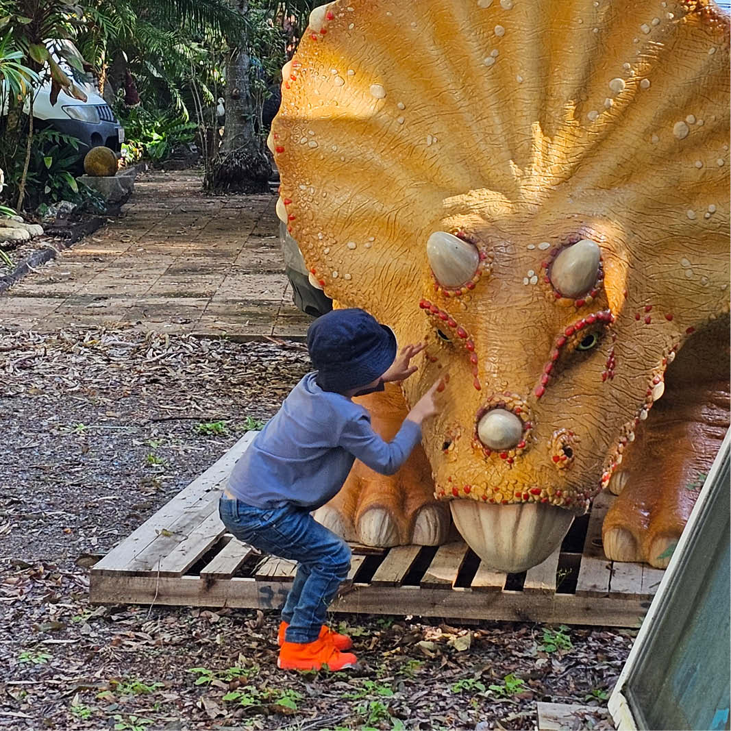 Natureworks Australia Cute photo of a little boy with a baby triceratops dinosaur statue