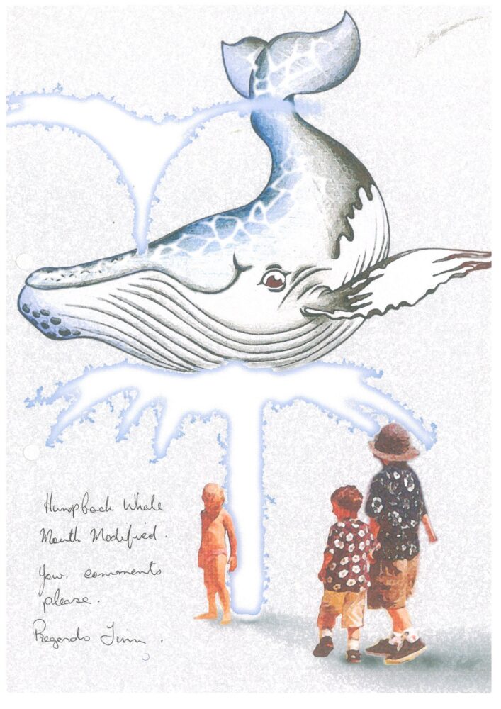 Natureworks Australia Whale of A Time Splash Play Concept - Image 6