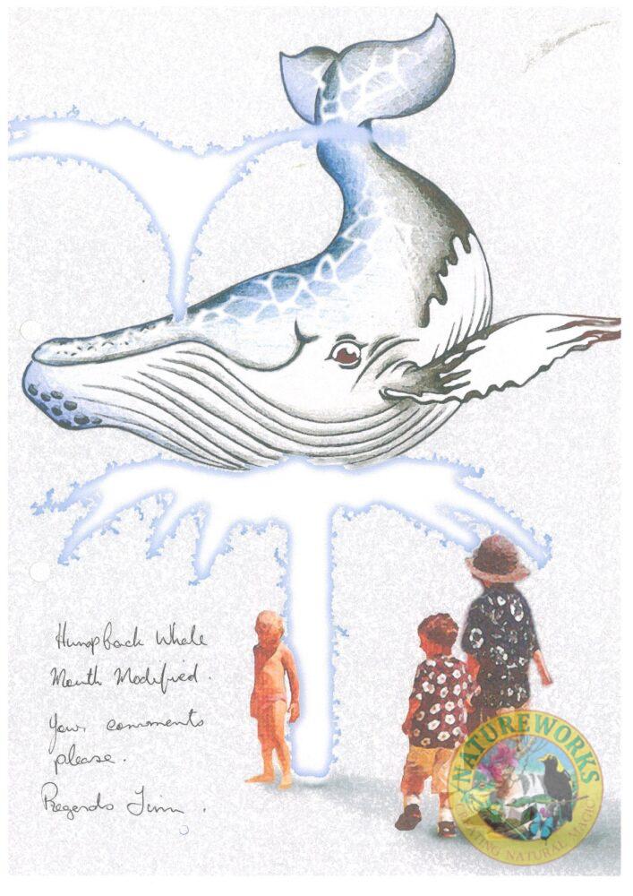 Natureworks Australia Whale of A Time Splash Play Concept - Image 6