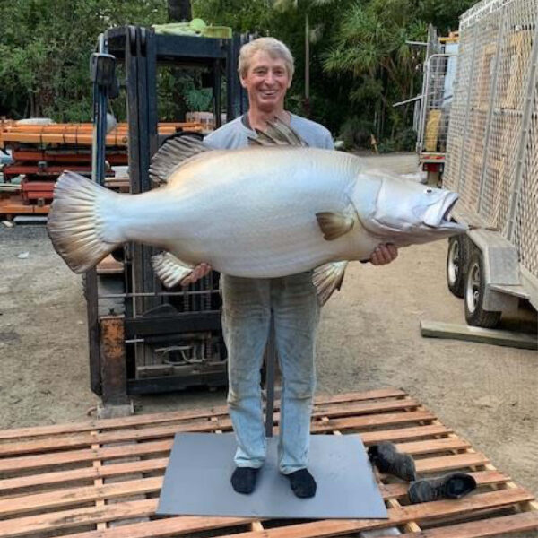 Barramundi fish - 1.3m long sculpture - shown with man holding barramundi finished ready for delivery