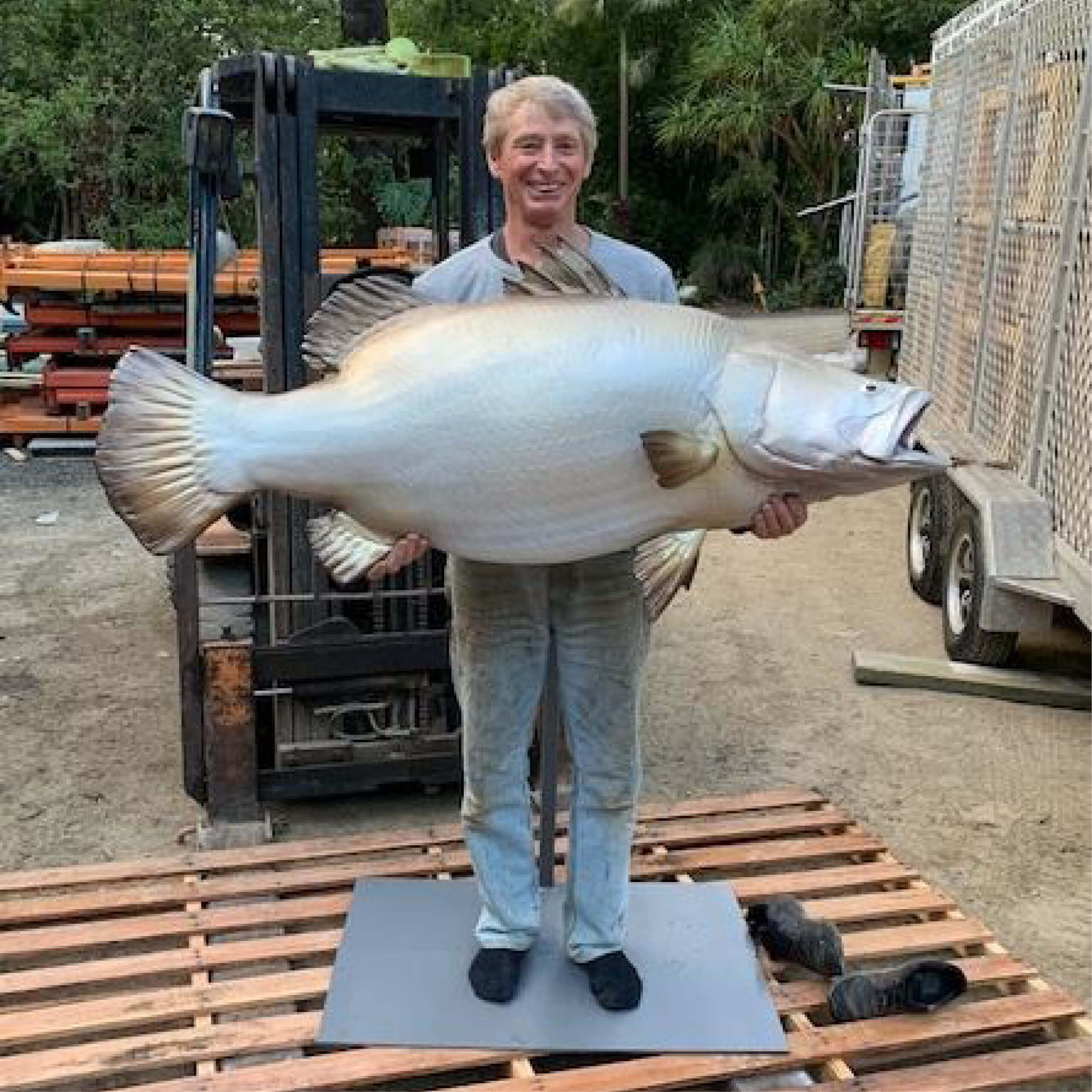 Natureworks Australia Barramundi fish - 1.3m long sculpture - shown with man holding barramundi finished ready for delivery