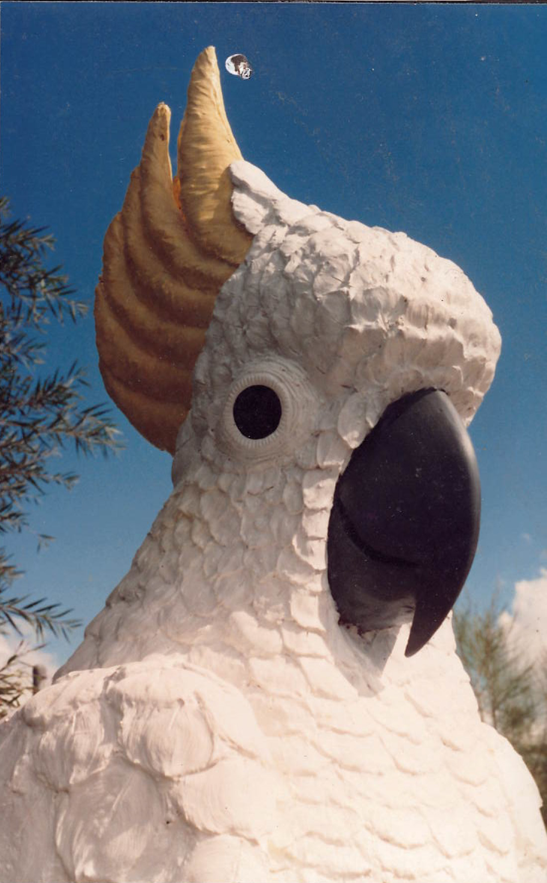 Natureworks Australia Cockatoo-Sulphur Crested 2m High Sculpture - Showing close up of head detail - in situ at Mosman Hotel