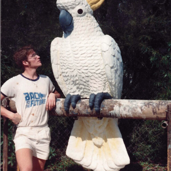 Cockatoo-Sulphur Crested 2m High Sculpture - size in comparison with a man standing next to scullpture- Front angle view-in situ at Mosman Hotel