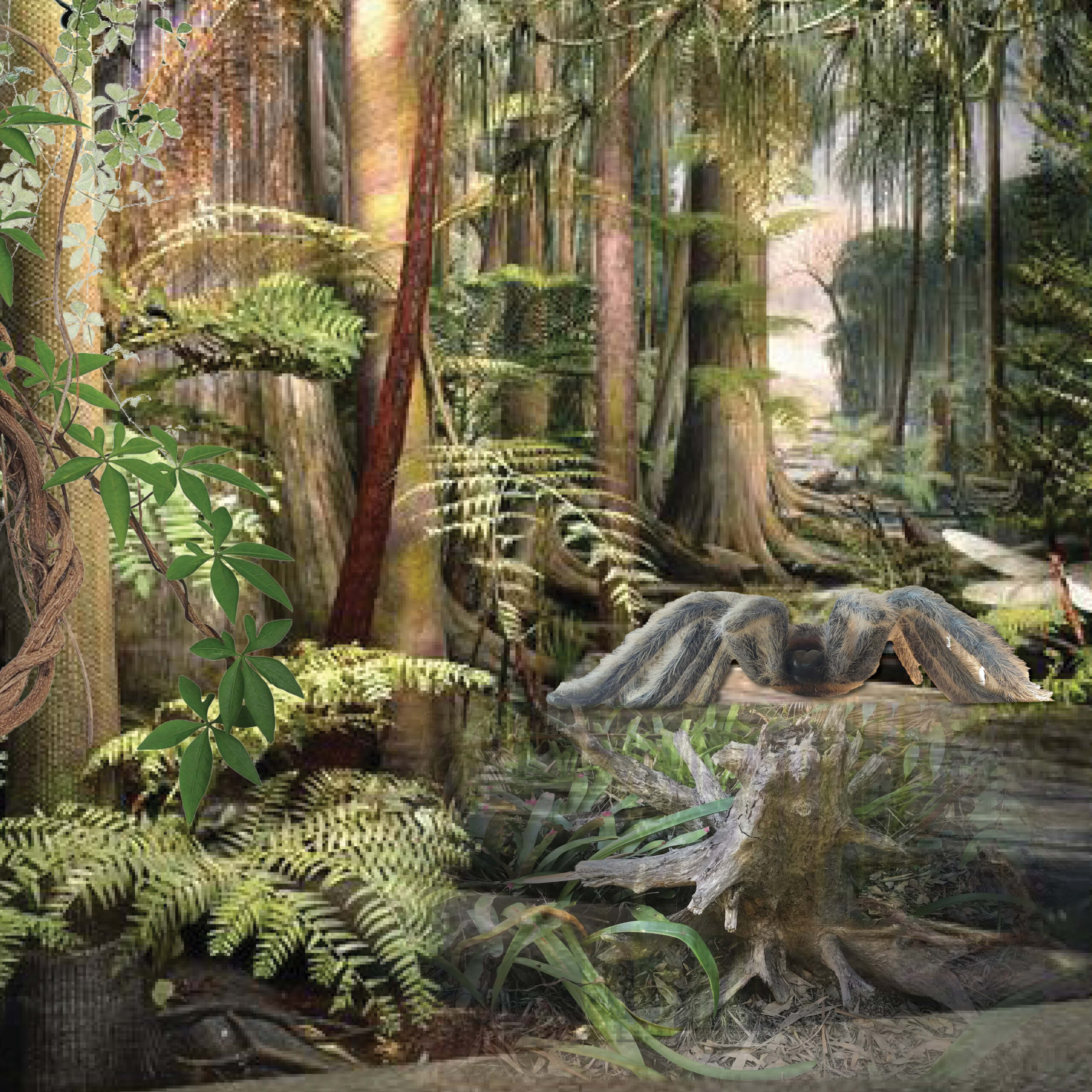 Natureworks Australia Tarantula Spider with hair- large - L 92cm x W 86cm x H 28cm - 7kg - PT-R.057 - shown in a forest backdrop