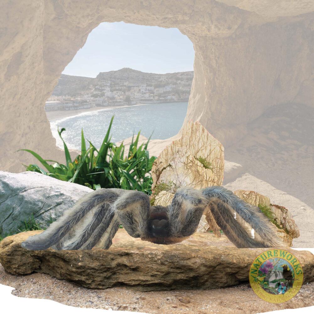 Hairy tarantula Spider - larger than life size - L 92cm x W 86cm x H 28cm - 7kg - PT-R.057