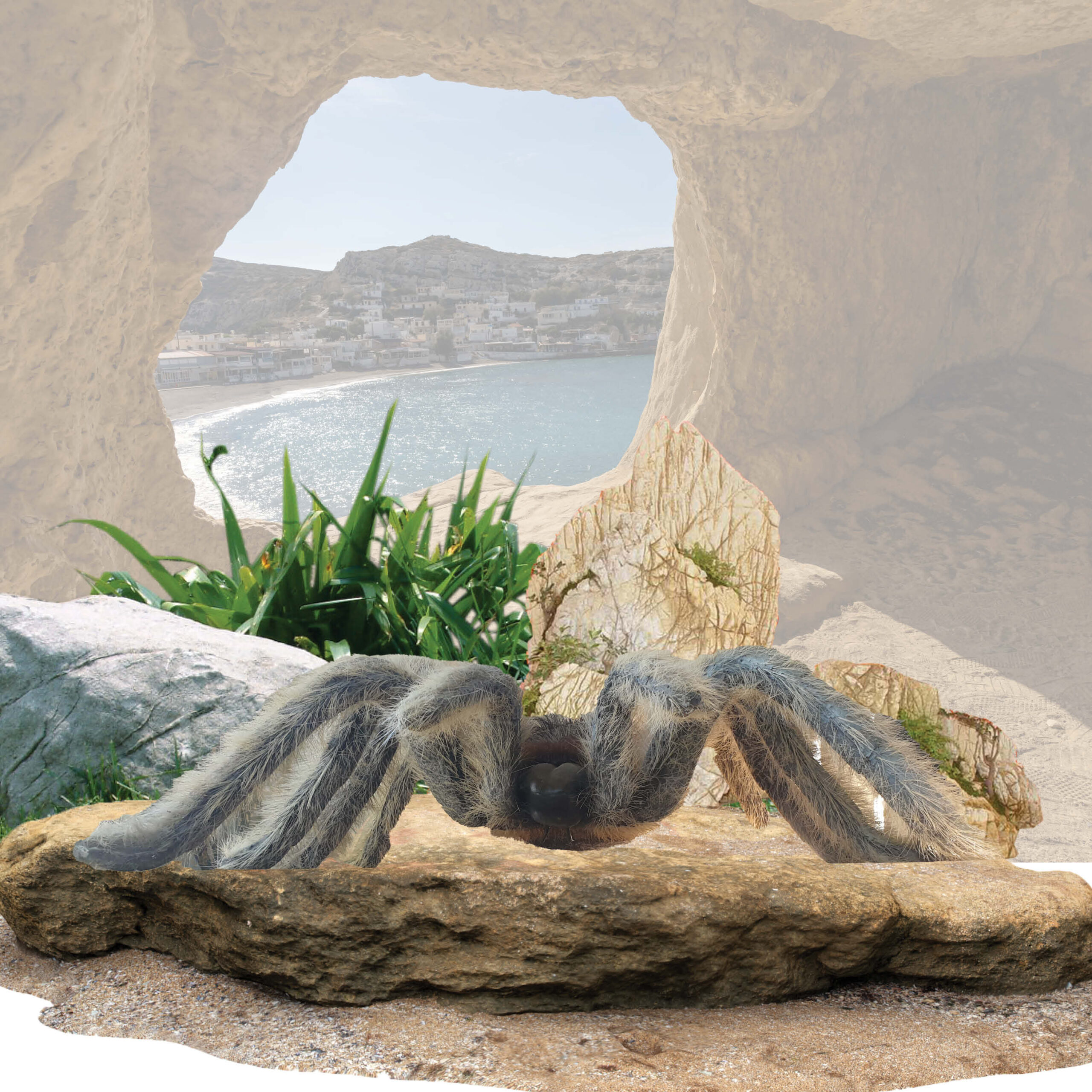 Natureworks Australia Hairy tarantula Spider - larger than life size - L 92cm x W 86cm x H 28cm - 7kg - PT-R.057