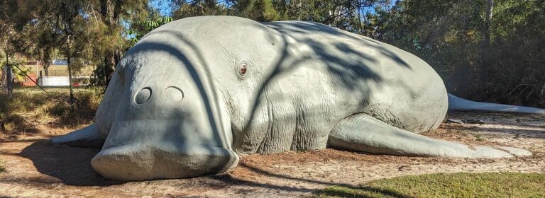 Dugong sculpture at Dreamtime Cultural Centre Rockhampton