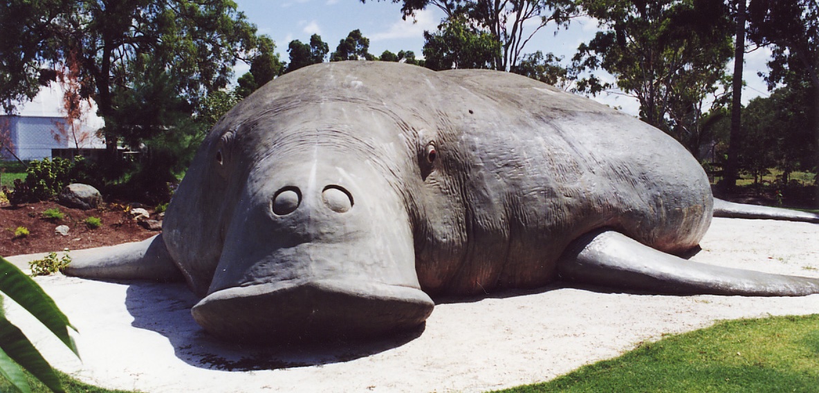 Natureworks Australia Front view of the dugong sculpture