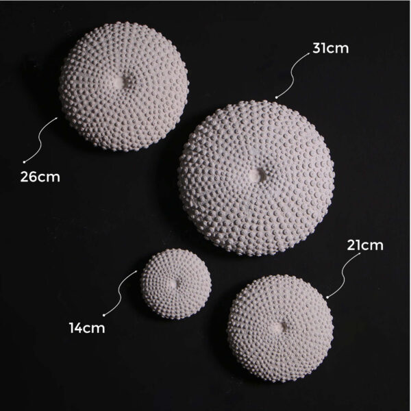 Sea urchin wall decor - round art - showing other sizes available in series - 31cm is the largest of the 4 sizes - 240049