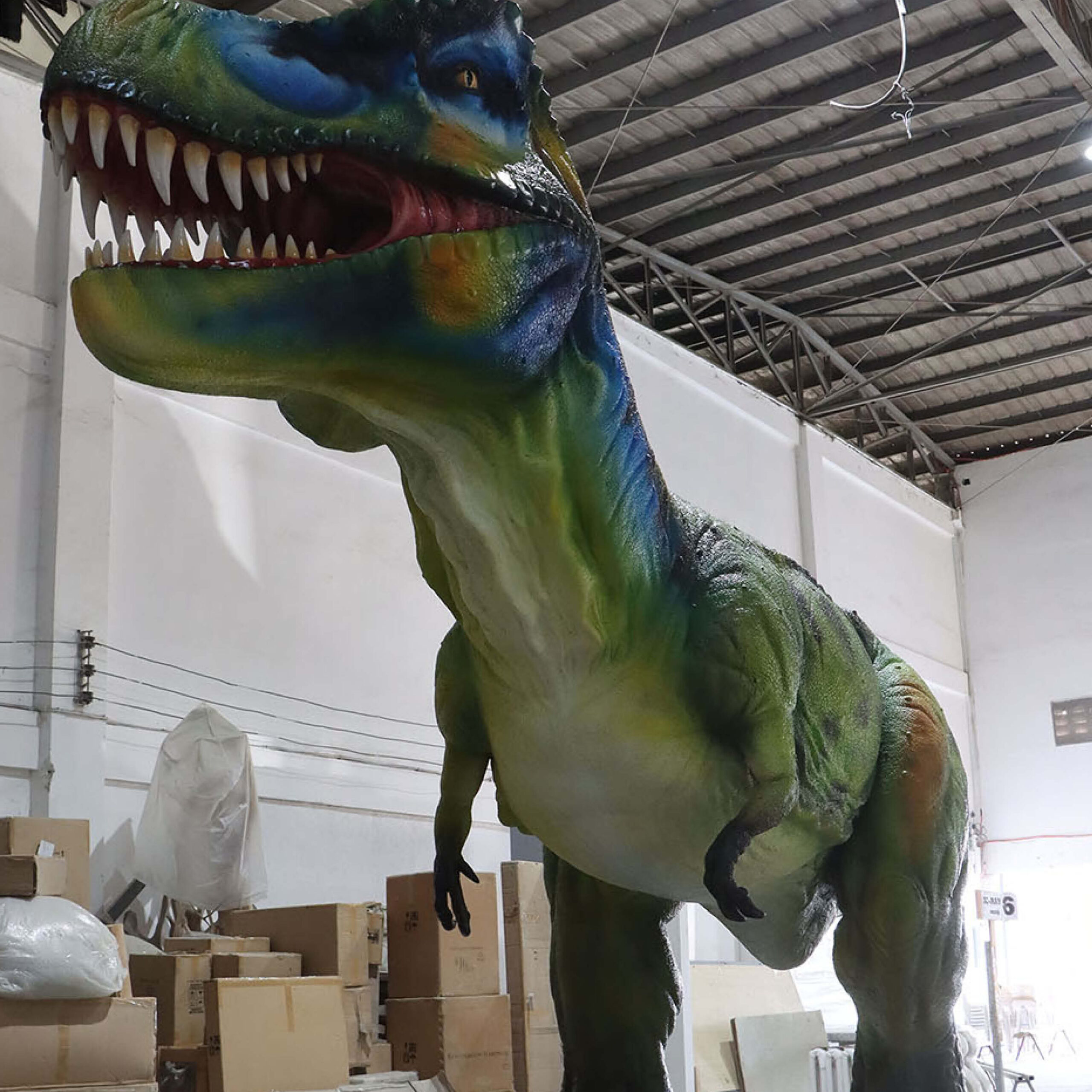 Natureworks Australia Tyrannosaurs Rex Sculpture - Giant 8.12m long x W2.6m wi x H 3.85m high - 640kg - SKU 230154 - looking fron ground level