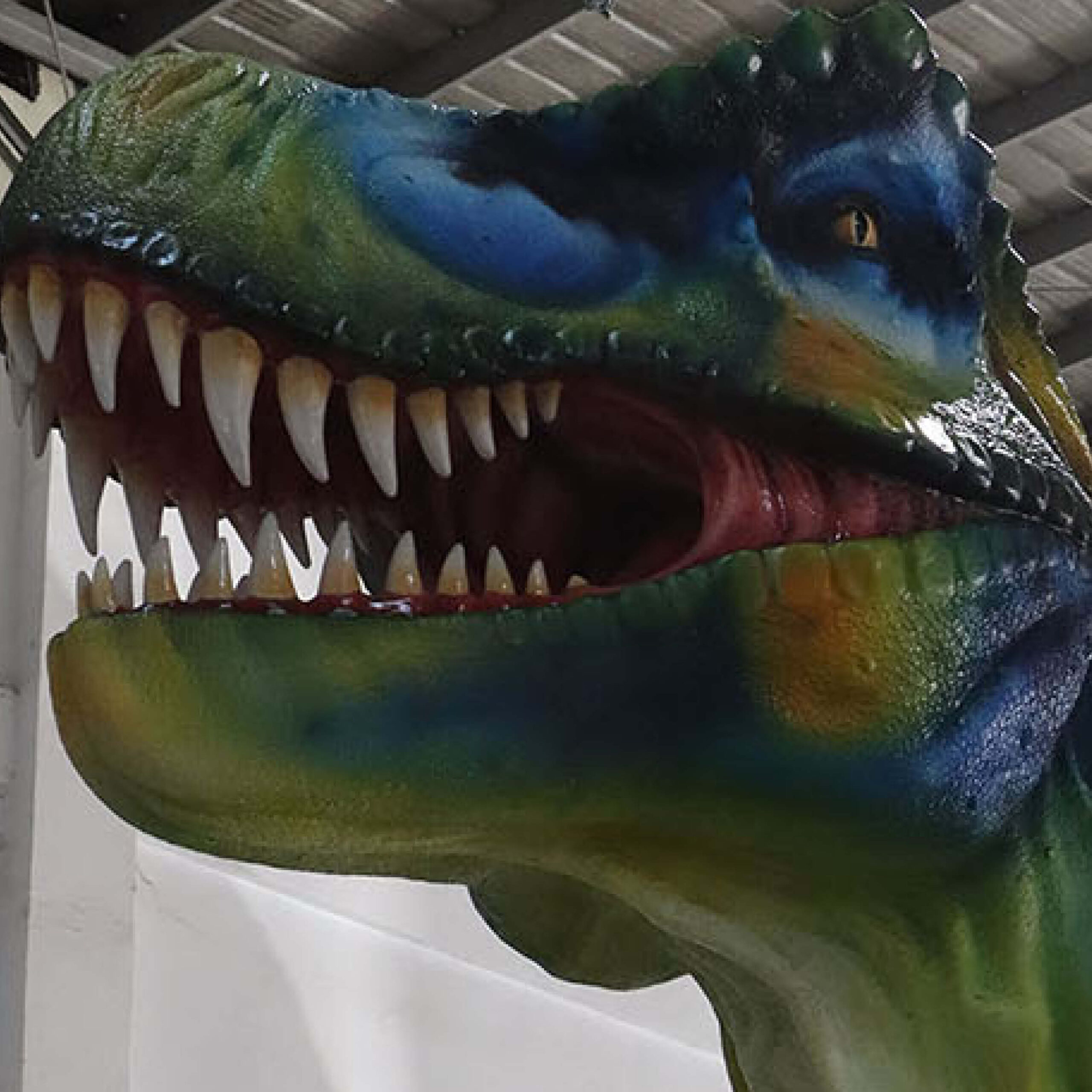 Natureworks Australia Tyrannosaurs Rex Sculpture - Giant 8.12m long x W2.6m wi x H 3.85m high - 640kg - SKU 230154 - looking up at head