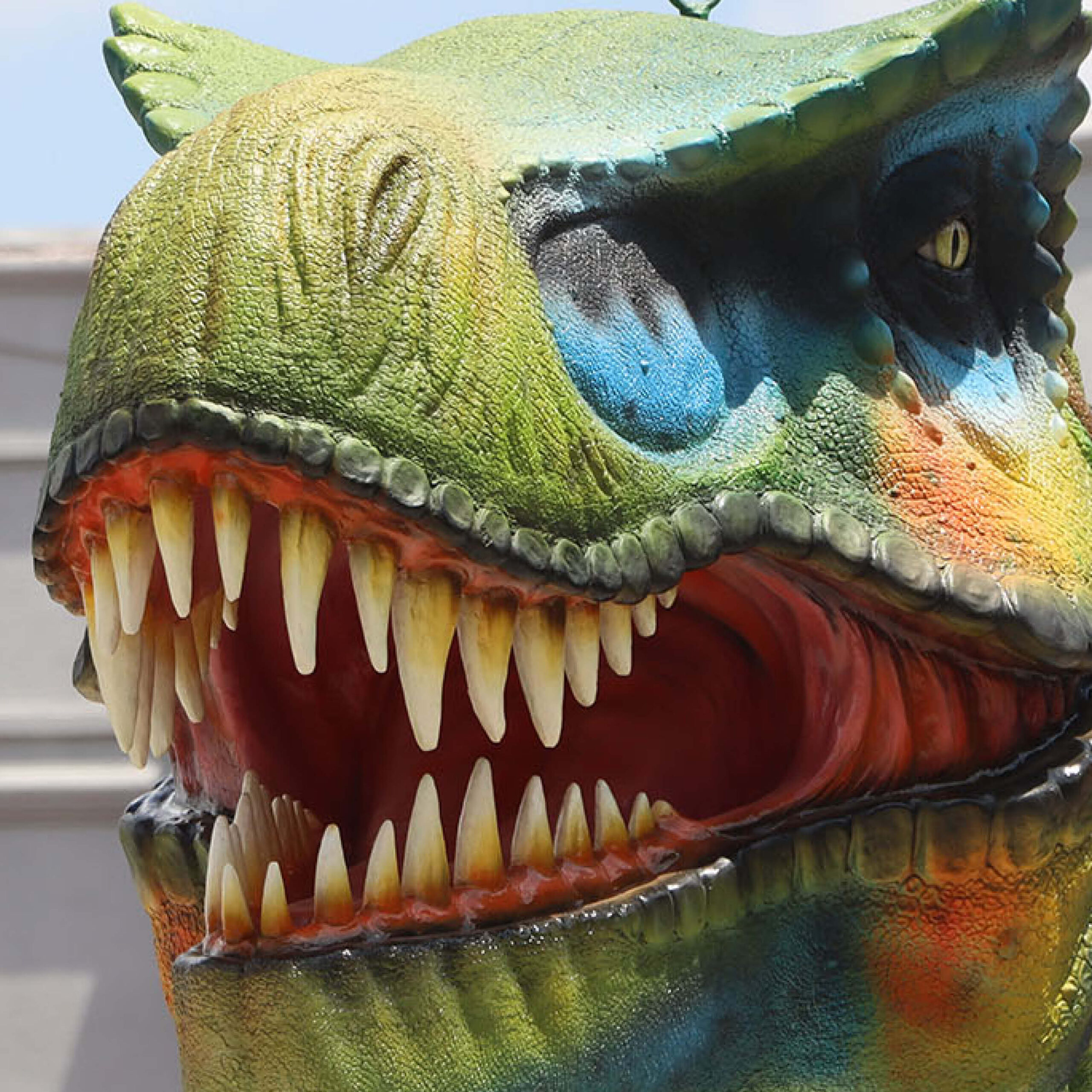 Natureworks Australia Tyrannosaurs Rex Sculpture -9ft hiahg- Giant 8.12m long x W2.6m wi x H 3.85m high - 640kg - SKU 230154 -close up of head