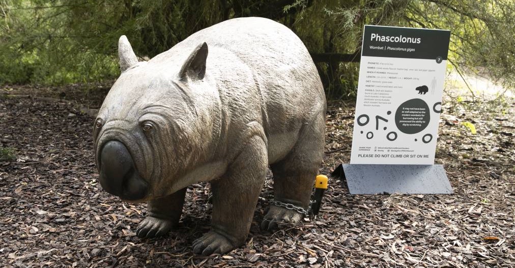Natureworks Australia Phascolonus - giant wombat megafauna animal sculpture at National Botanic Gardens
