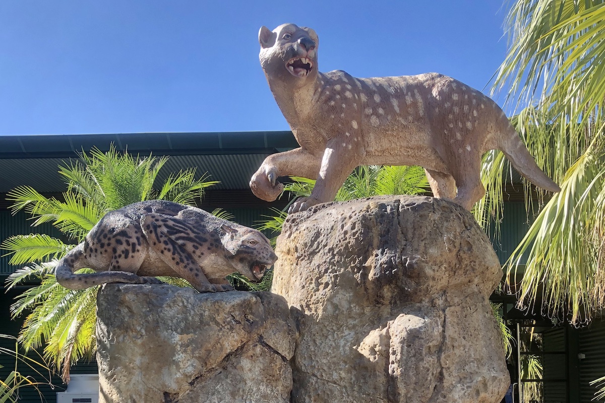 Natureworks Australia Wakaleo and Thylacoleo megafauna animal sculptures at Riversleigh Fossil Discovery Centre