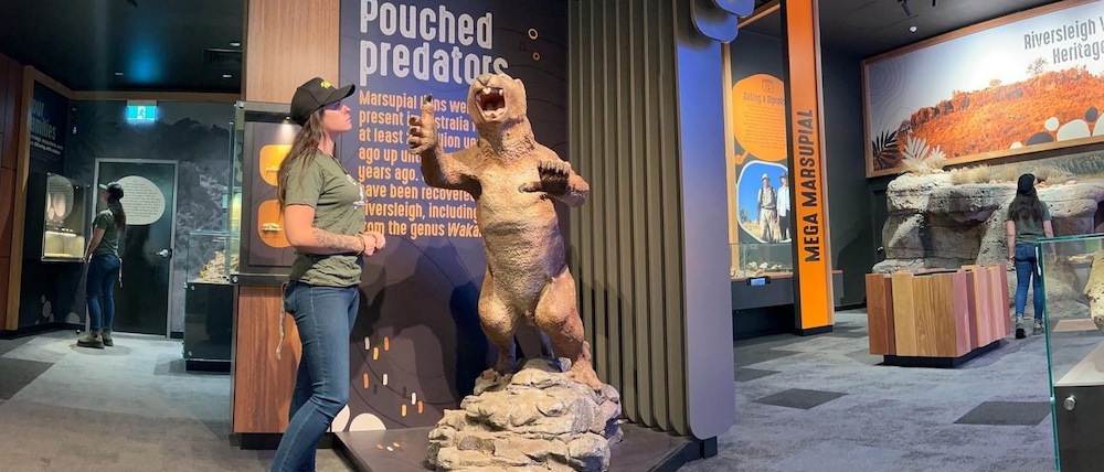 Natureworks Australia Inside the Riversleigh Fossil Discovery Centre