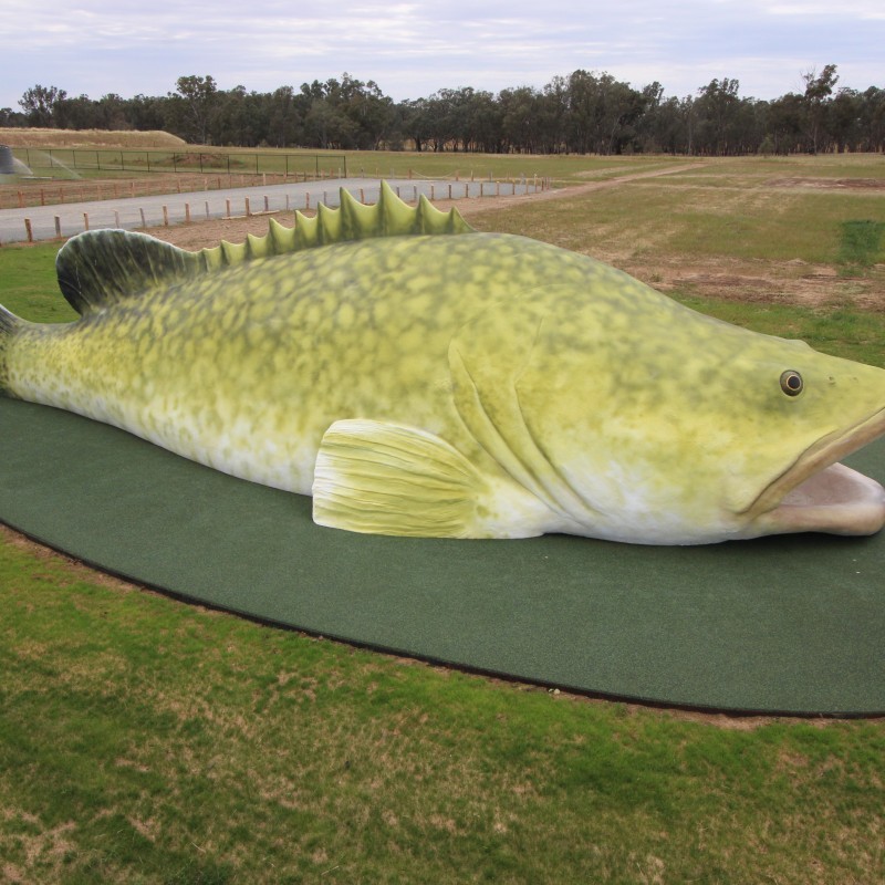 Giant Murray Cod sculpture - Big Thing at Arcadia Fish Hatchery