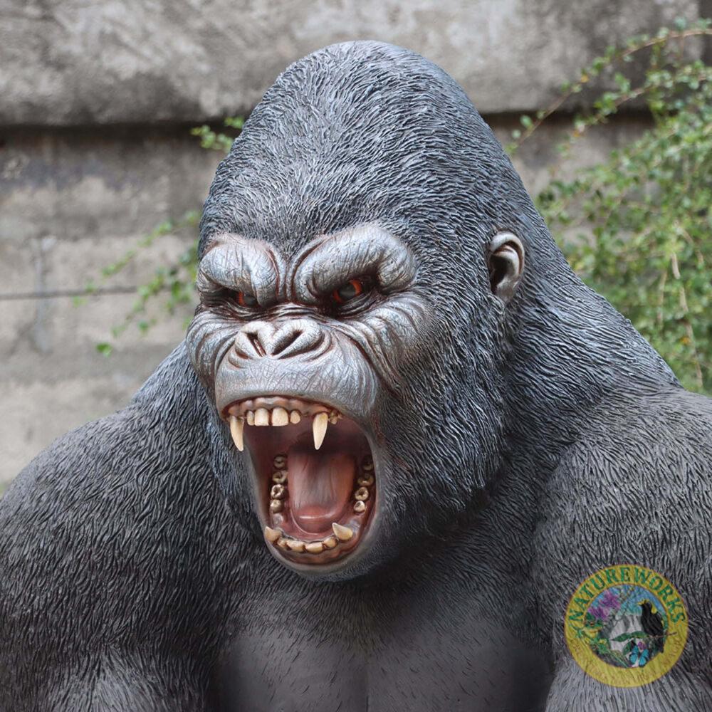 Gorilla Male 240118- Larger than life size - Head close up-V6