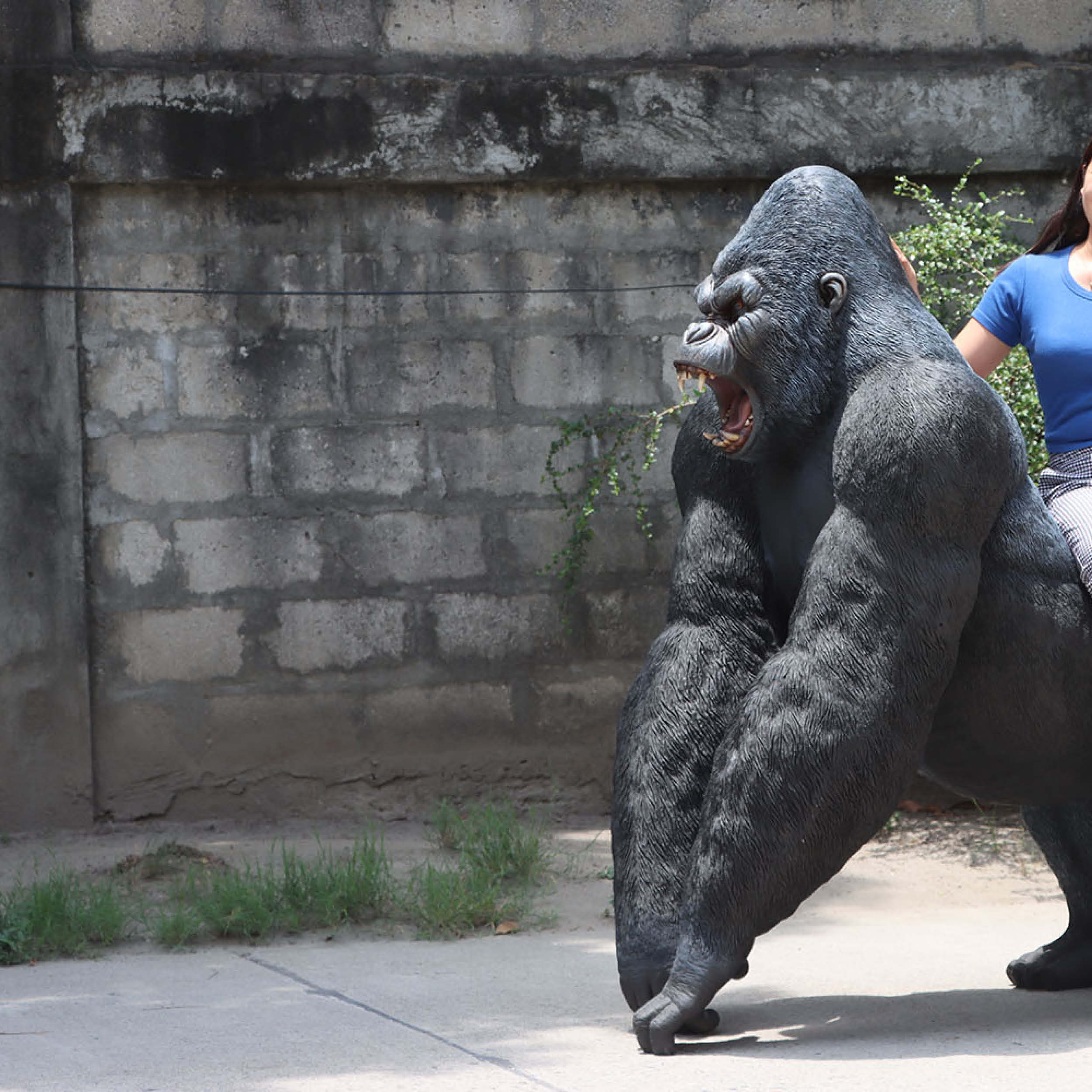 Natureworks Australia Gorilla Male 240118- Larger than life size - Side view Lady-V8