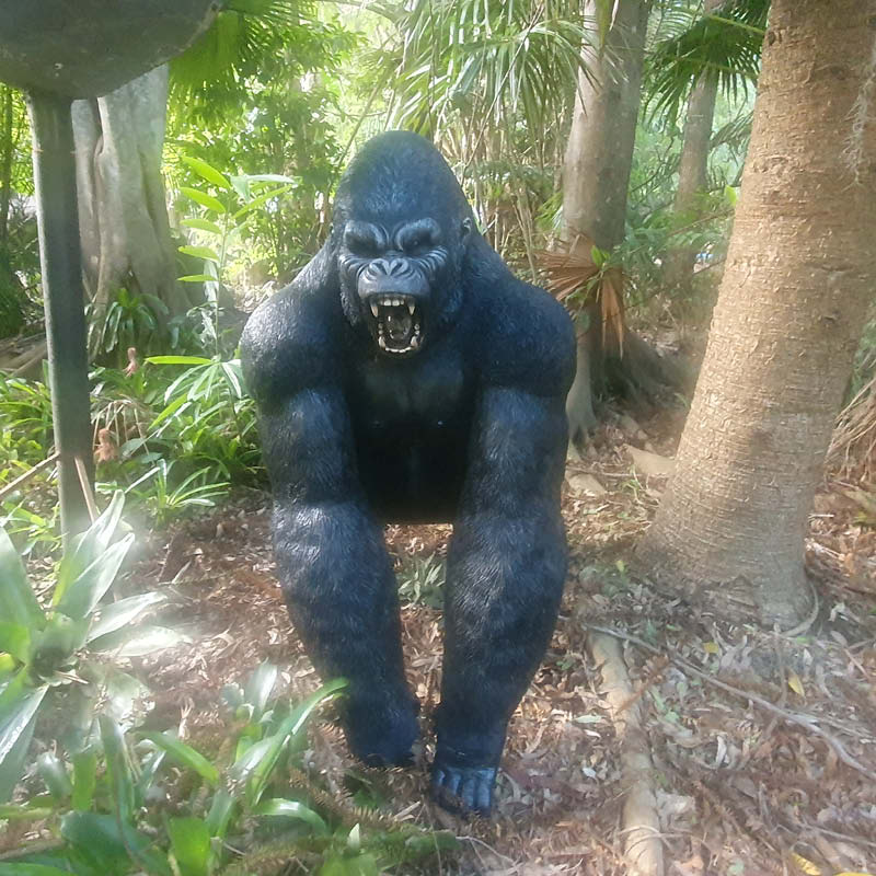 Natureworks Australia Silverback Male Gorilla lifelike statue of strength and beauty-shown in Natureworks garden-front view -240118