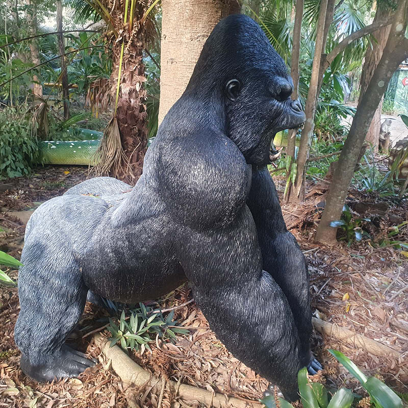 Natureworks Australia Silverback Male Gorilla lifelike statue of strength and beauty-shown in Natureworks garden-side view -240118