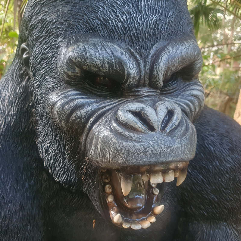 Natureworks Australia Silverback Male Gorilla lifelike statue of strength and beauty-shown in Natureworks garden-front view of head-240118