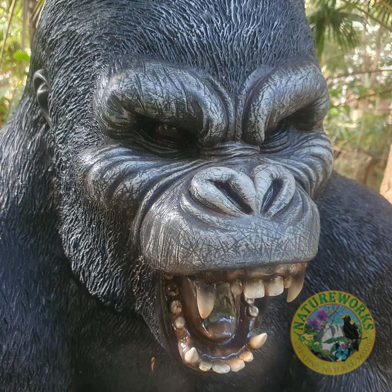 Natureworks Australia Silverback Male Gorilla lifelike statue of strength and beauty-shown in Natureworks garden-front view of head-240118