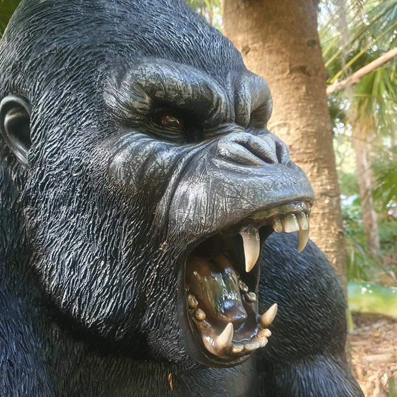 Natureworks Australia Silverback Male Gorilla lifelike statue of strength and beauty-shown in Natureworks garden-close up of head- -240118