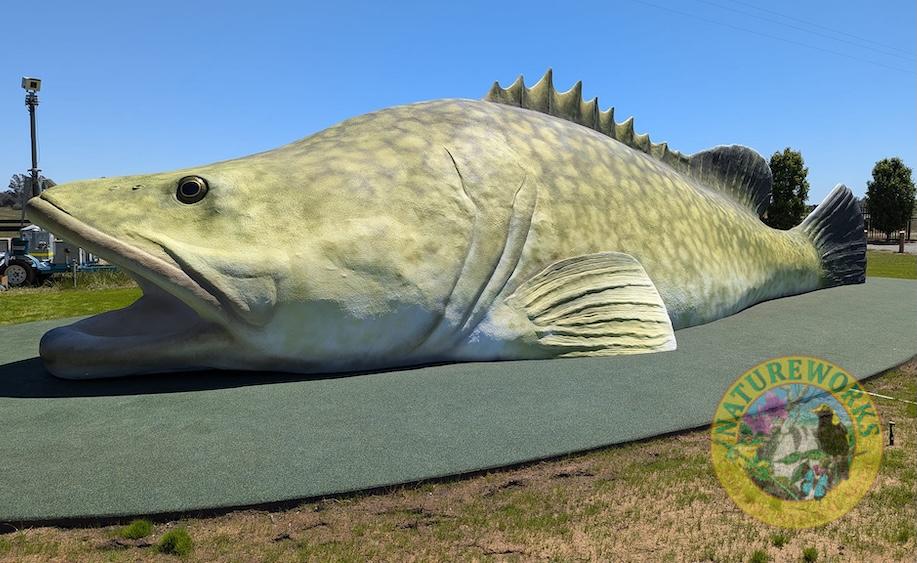 Natureworks Australia Big Thing - giant Murray cod sculpture near Shepparton, Vic, Australia