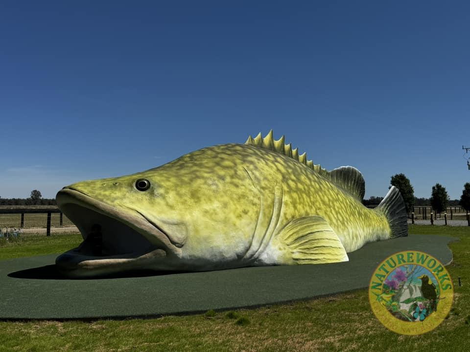 Natureworks Australia Completed Giant Murray Cod sculpture at Arcadia Vic