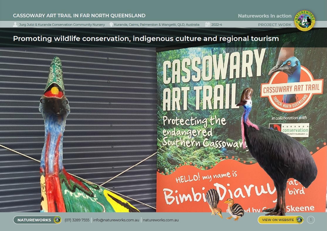Cassowary Art Trail - cover of case study