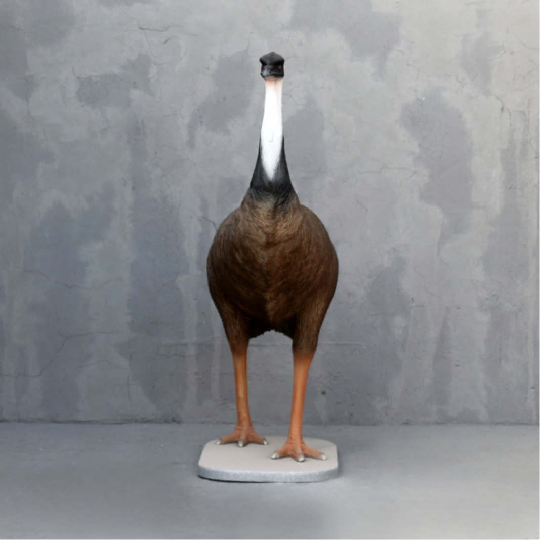 Natureworks Australia Emu Standing on base plate Y.3360 180cm- front view