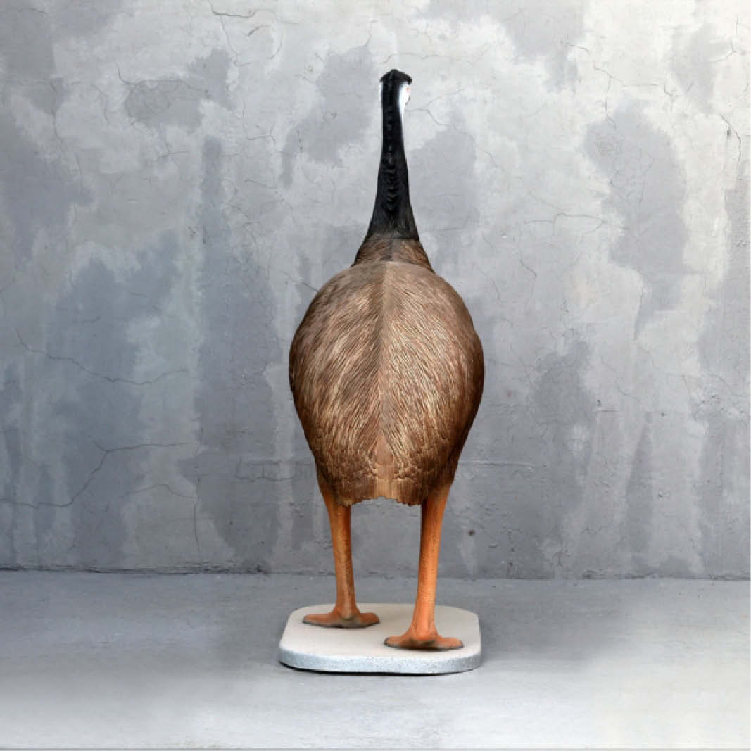 Natureworks Australia Emu Standing on base plate Y.3360 180cm- rear view