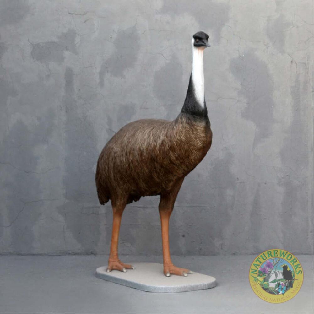 Emu Standing on base plate Y.3360 180cm- angle view