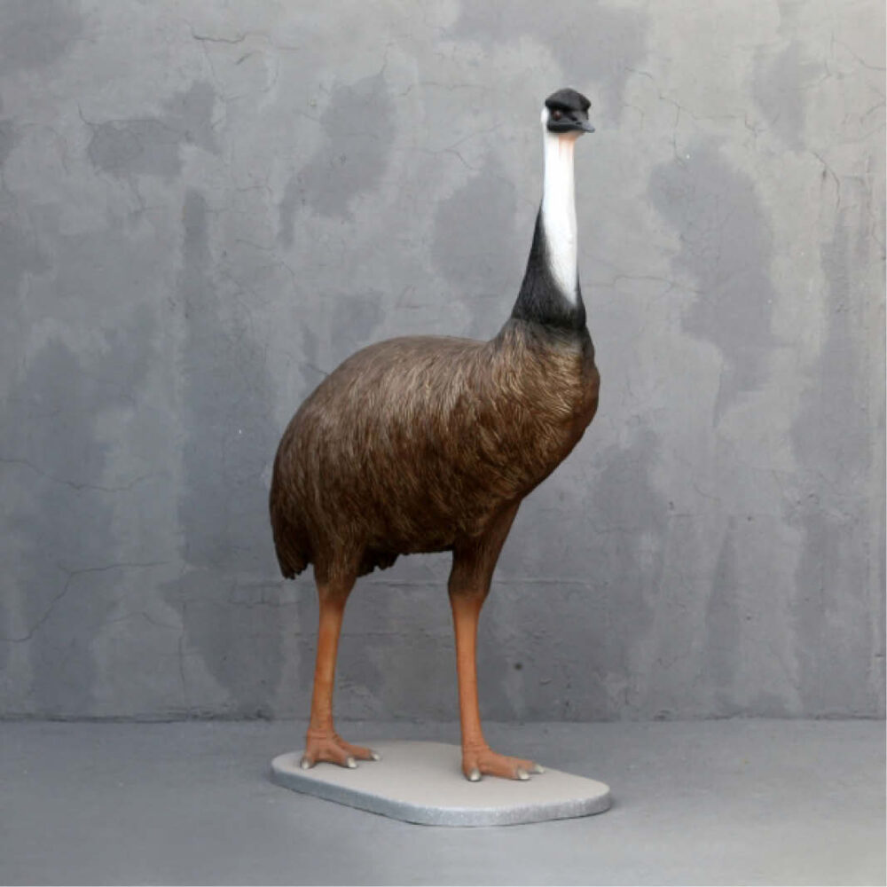 Emu Standing on base plate Y.3360 180cm- angle view
