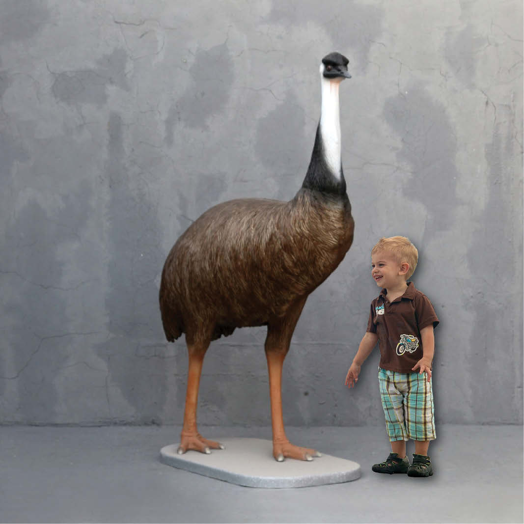 Natureworks Australia Emu Standing on base plate Y.3360 180cm- shown with child