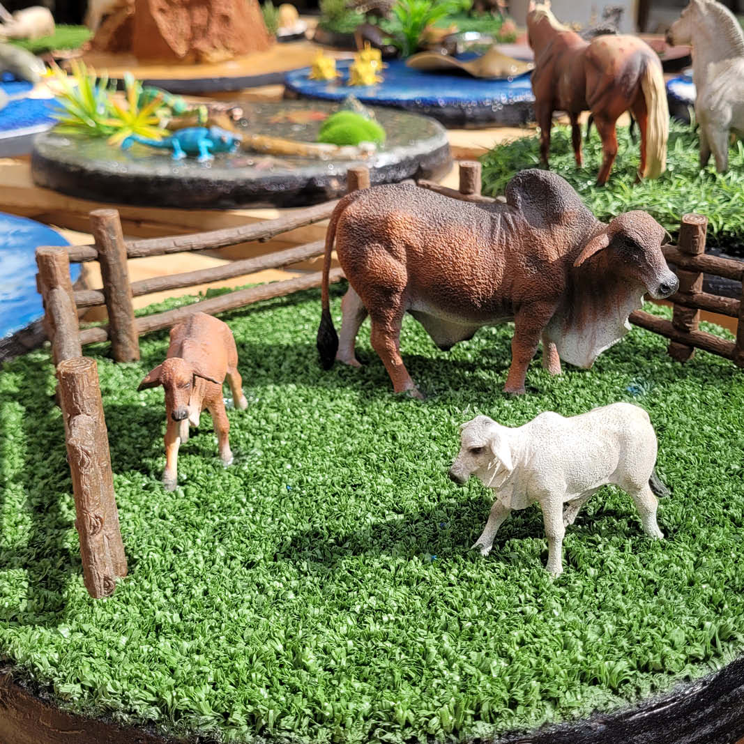 Natureworks Australia Natureworks Cloches - playground themed diorama-farm yard or livestock animas bulls and calf