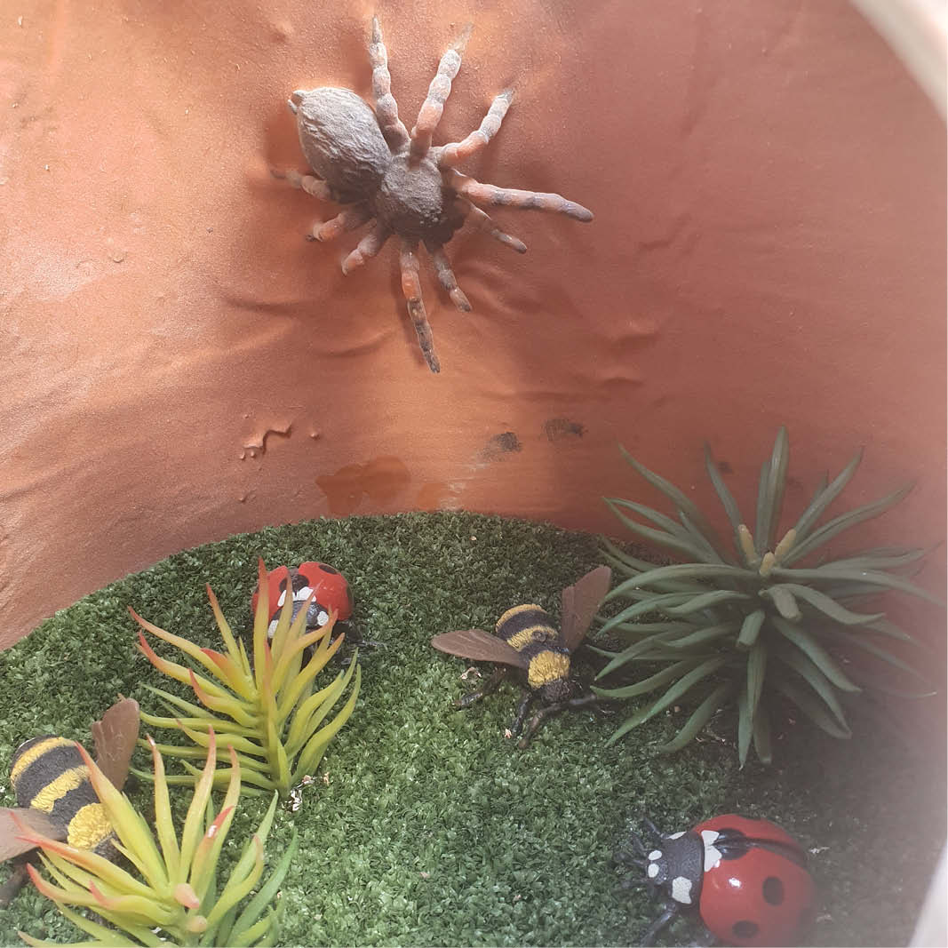 Natureworks Australia Play and discovery cloches with internal miniature dioramas - insects- showing spiders, beets and bees