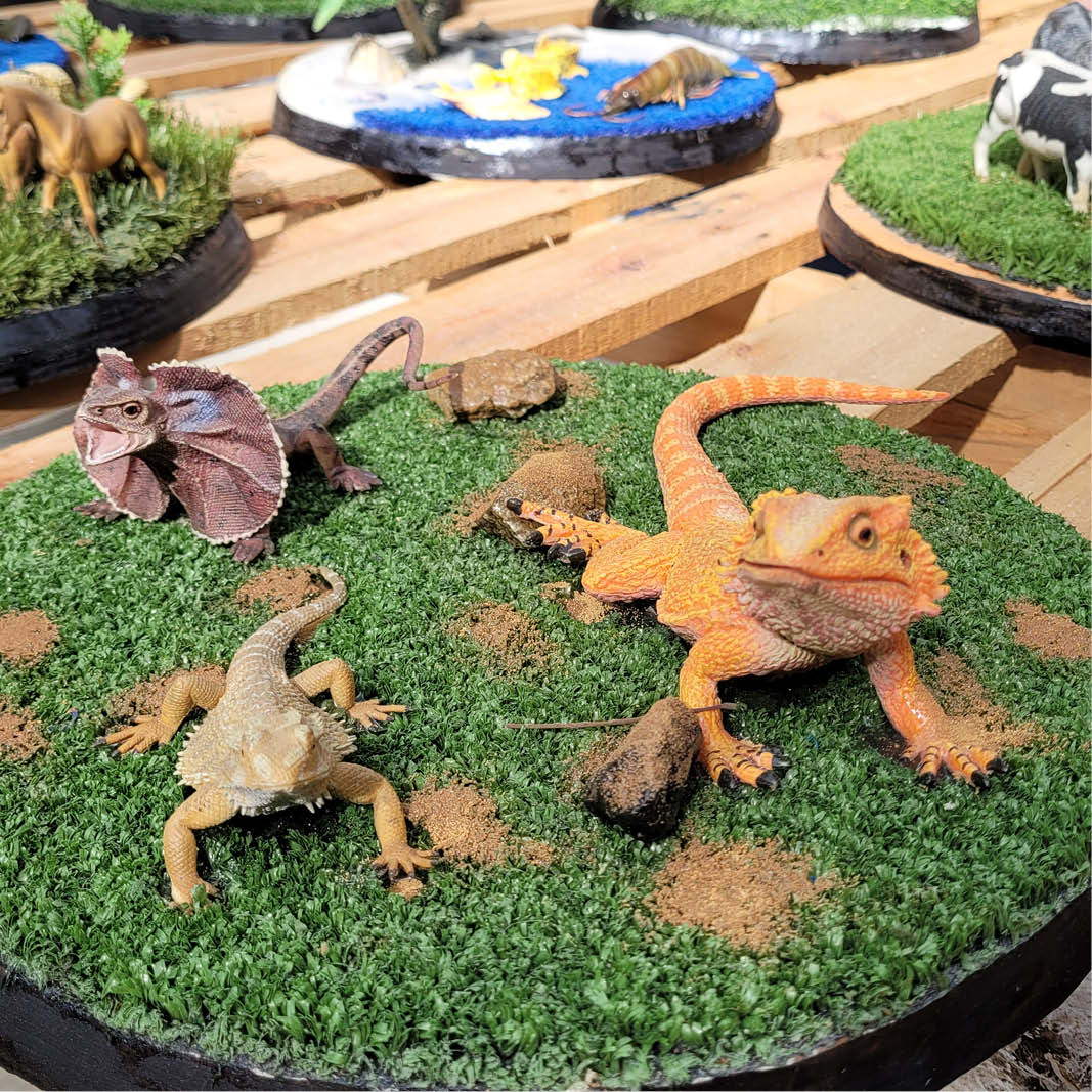 Natureworks Australia Natureworks Cloches - playground themed diorama-lizards on grass with small rocks