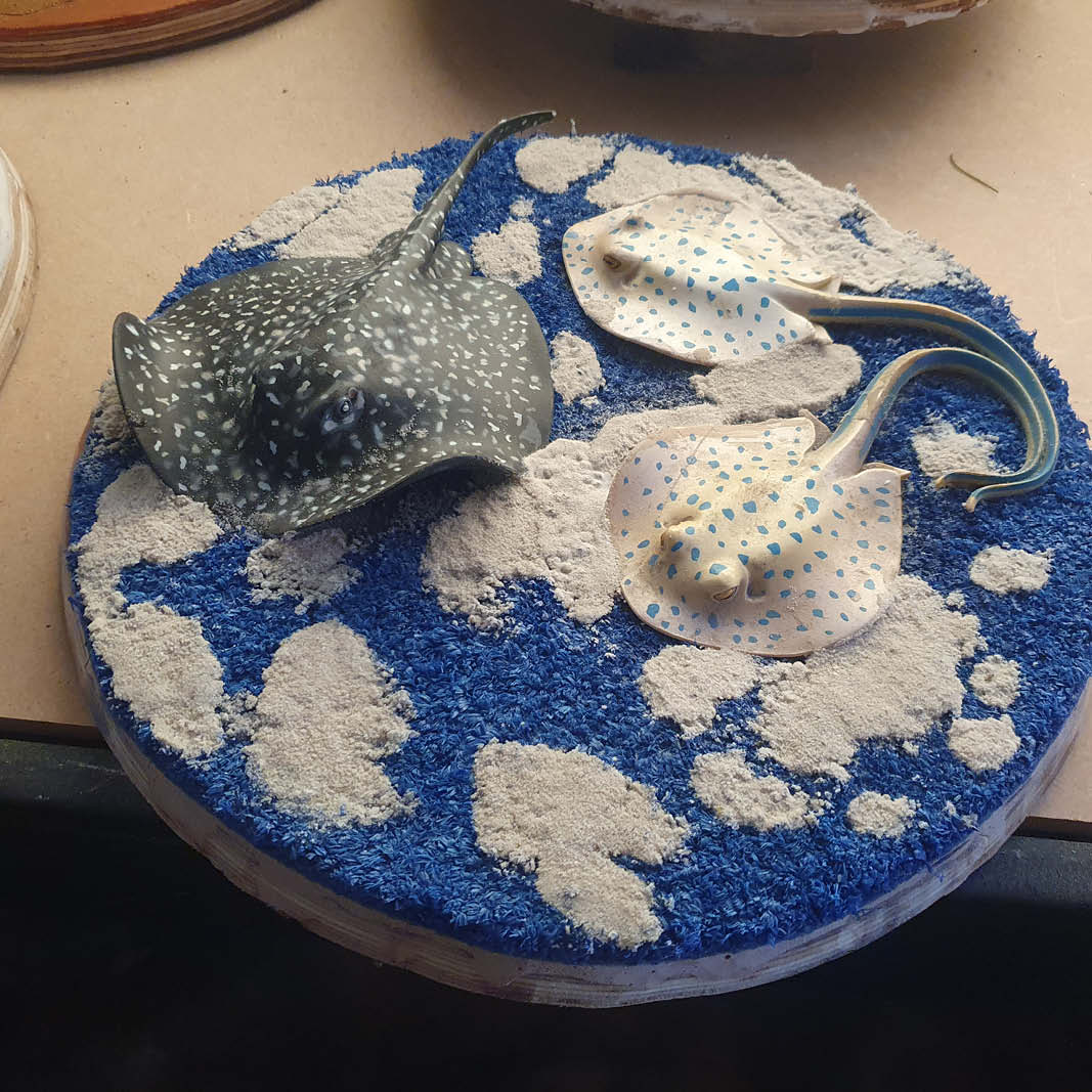 Natureworks Australia Natureworks Cloches - playground themed diorama-with sting rays on a blue base